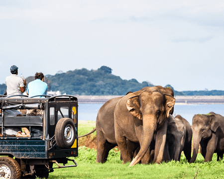 Aro Travels Sri Lanka